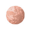 alluring-rose
